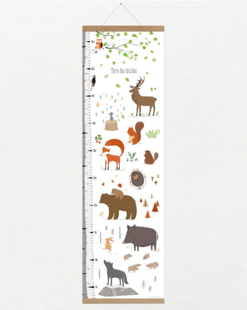 VIERUNDFÜNFZIG Messlatte | Tiere Des Waldes