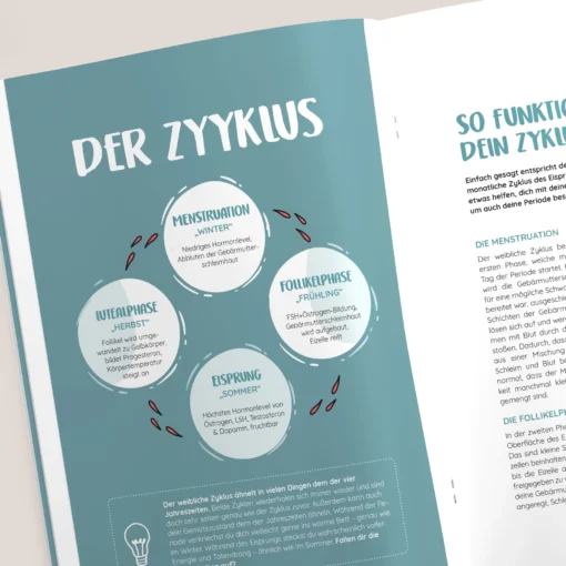 Periodicle Aufklärungsmagazin für teens von MYLILY