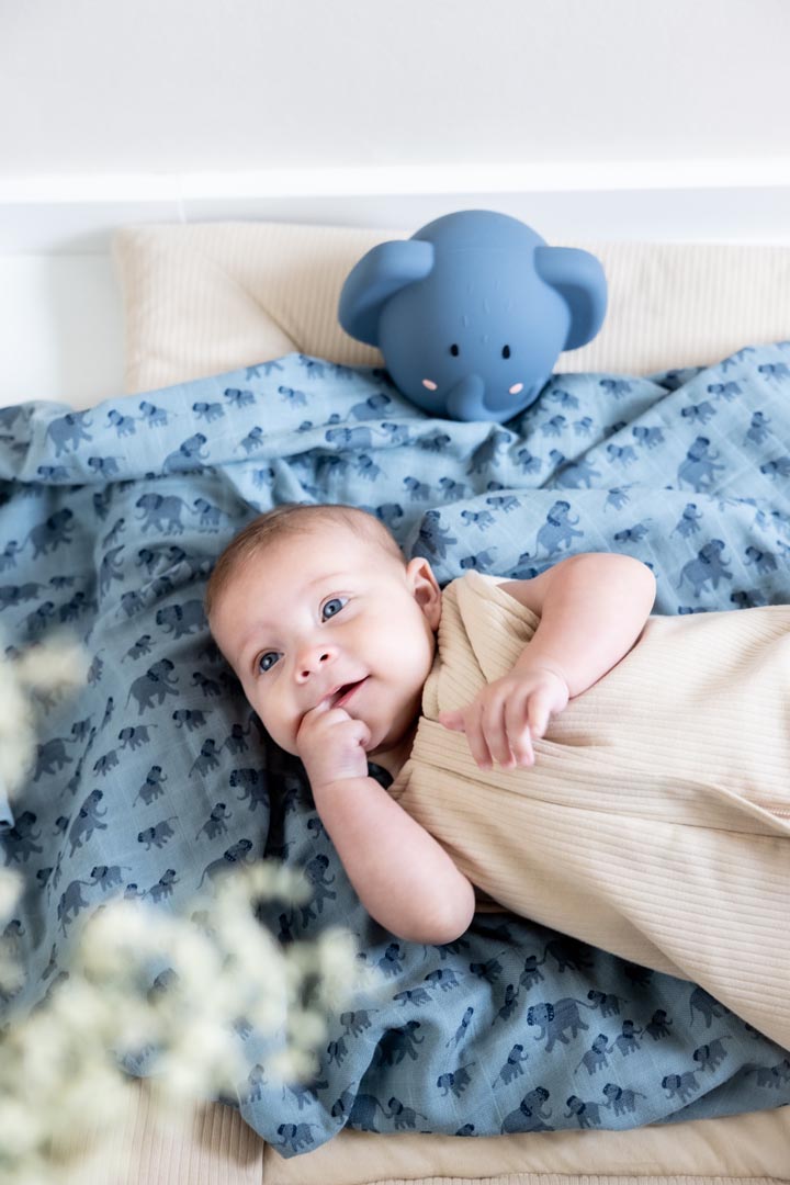 Trixie Silikon Nachtlicht (Wiederaufladbar) | Elefant