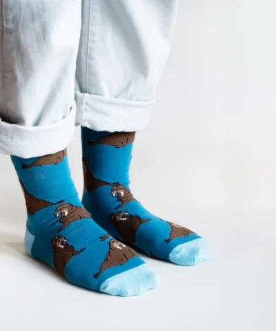 Bare Kind Bambus Socken Geschenkbox | Arctic