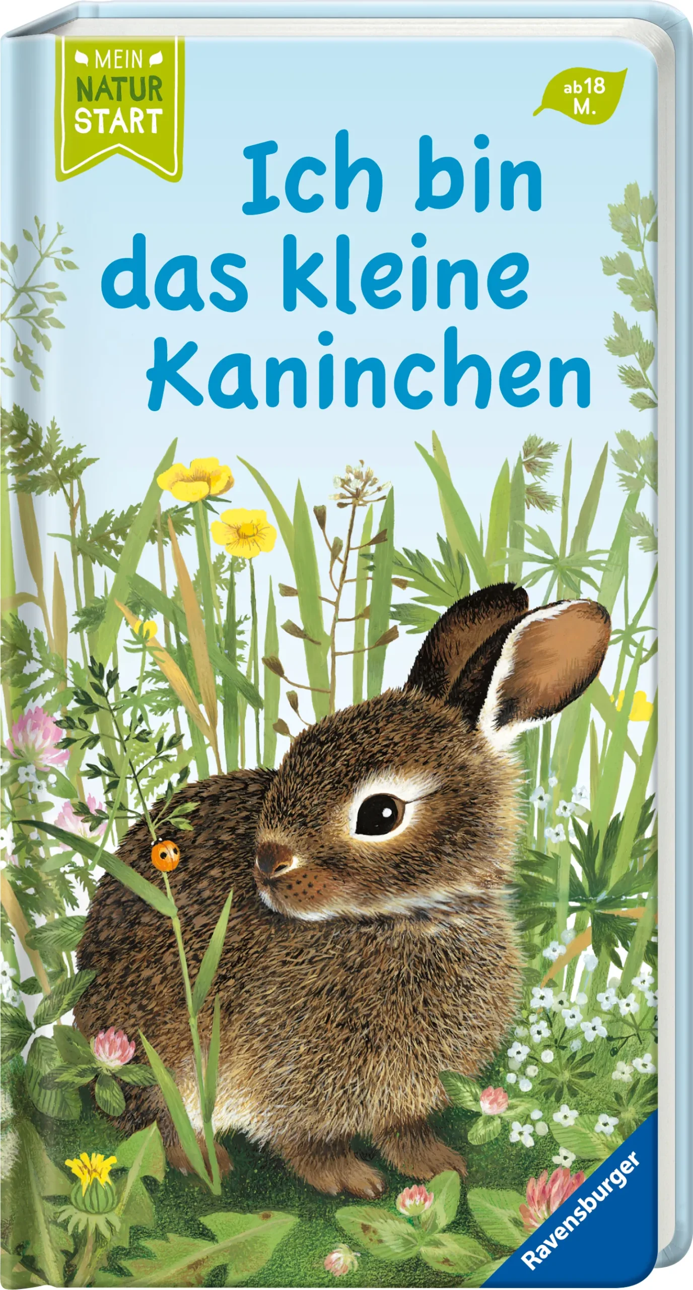 Bilderbuch | Ich bin das kleine Kaninchen (ab 18 M.) – Bild 2
