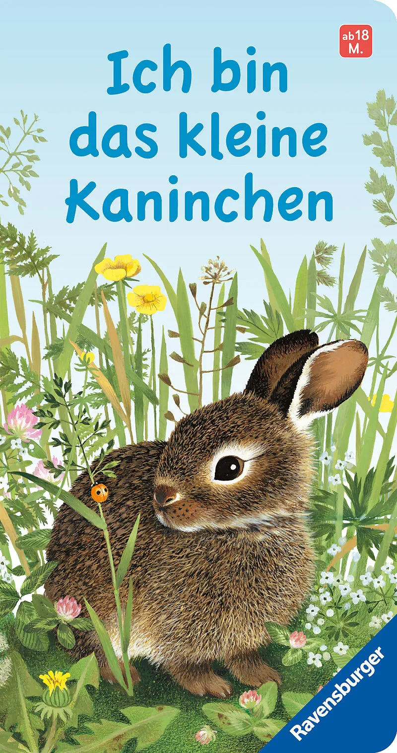 Bilderbuch | Ich bin das kleine Kaninchen (ab 18 M.)