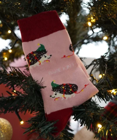 Bare Kind X-MAS Bambus Socken ERW | Igel