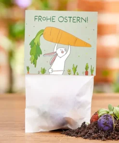 Die Stadtgärtner 5er Blumenmurmeln im Beutel | Hase mit Mören