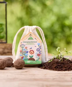 Die Stadtgärtner Saatkugeln (5 STK) | Bienenschmaus