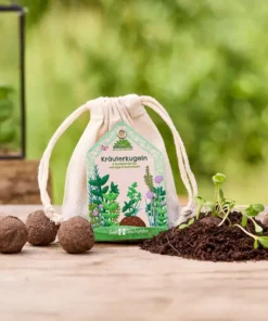 Die Stadtgärtner Saatkugeln (5 STK) | Kräuterkugeln