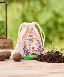 Die Stadtgärtner Saatkugeln (5 STK) | Schmetterlingswiese