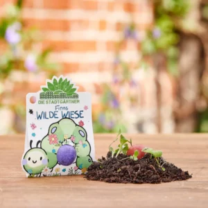 Die Stadtgärtner 1er Blumenmurmel | Finnis Wilde Wiese