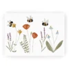 Postkarte | Wiesenblumen und Hummeln