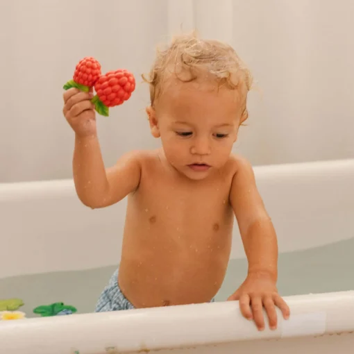 Oli&Carol Baby Beissring | Valery the Raspberry