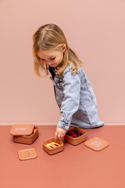 Trixie 3er-Set Snackboxen stapelbar | Katze – Bild 10