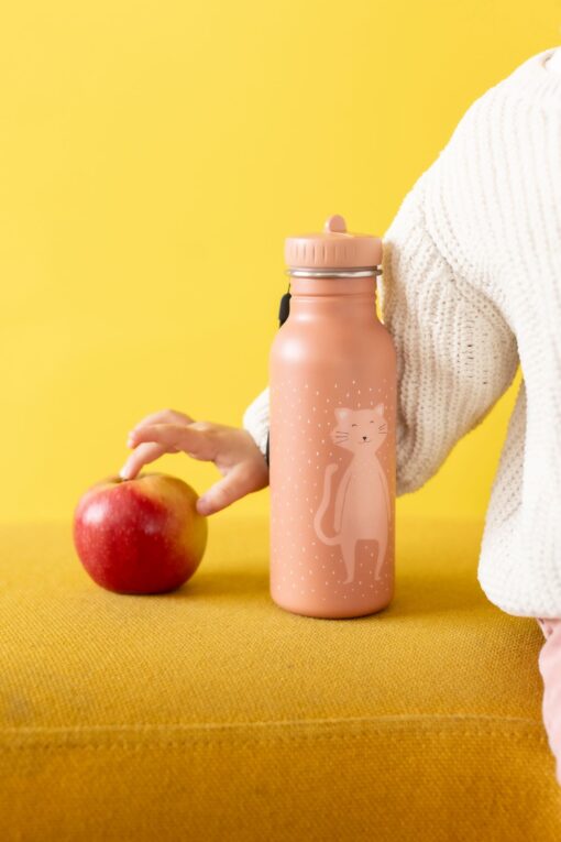Trixie Trinkflasche 500ml | Katze