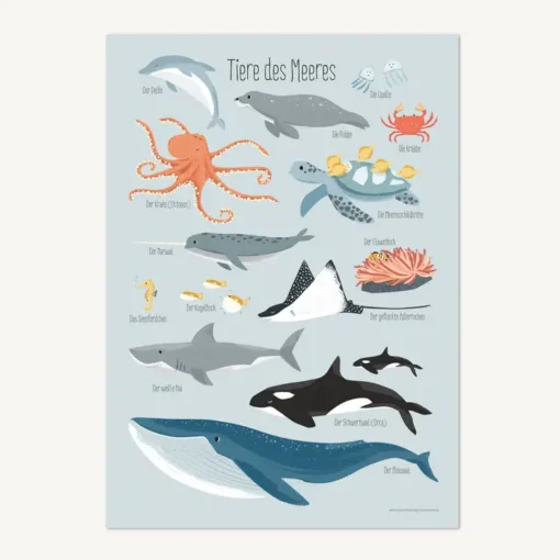 VIERUNDFÜNFZIG Poster DIN A3 | Tiere des Meeres