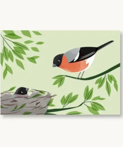 VIERUNDFÜNFZIG Postkarte | Gimpel