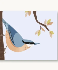 VIERUNDFÜNFZIG Postkarte | Kleiber