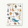 VIERUNDFÜNFZIG Postkarte | Tieralphabet